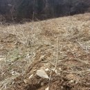 백야농장 이미지