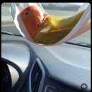 경안슈퍼 | 24년 7월 일상 기록, Let it be summer