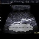 김해 동물병원 이미지