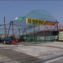만능 카센타 이미지