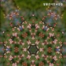 참좋은이웃 노인요양공동생활가정 | 양주요양원 참좋은이웃요양원 신뢰받는 돌봄 공간
