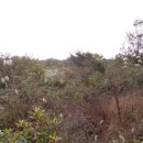 덕천보건진료소 이미지