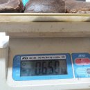 박달하지 이미지