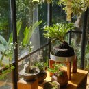 초록숲 하우스 이미지