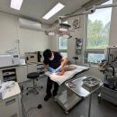 북부 동물병원 이미지