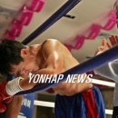 대산복싱클럽 이미지