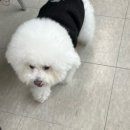 강남대로6길 12 이미지