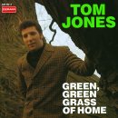 Green Green Grass of Home / Tom Jones, Nana Mouskouri, Johnny Cash ,Dean Martin,유열 & 임태경.... 이미지