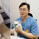 수장농장 이미지