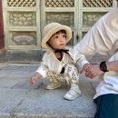 요물상점 - 은평구 | 남자 아기 여름옷 구매후기 [러브헤이미쉬 - 수입공구...아이)/ 치즈상점 - 해빗/ 무무즈에센셜/ 코튼봉...