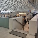 CDG 오일샵 | [유럽여행] 포르투갈 리스본여행 도착! 베르트랑서점 방문기 (트램의 나라)