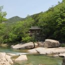 화양계곡금사담펜션민박 이미지