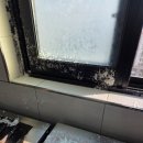 우리들한방병원 이미지