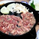 터미널 흑염소