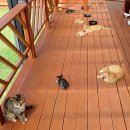 [주간메일 336] 기대반 걱정반.. 이미지