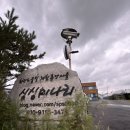 싱싱농가 | 김포) 싱싱미나리체험농가 삼겹살맛집 현주디추천 내돈내산 맛집후기