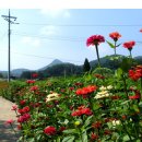 대촌마을(덕우리) 이미지