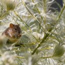 (주)미래환경 이미지