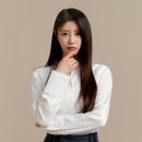 탑디스코라이브