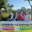 슬기로운펫생활