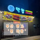 본막창 네이버블로그
