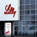 한국릴리 유한회사 이미지