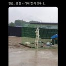 쌀국수&커피