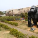 목포향토문화관 Daum카페