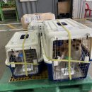 제시카 켄넬 이미지