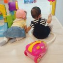 카페281
