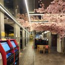 앤유PC방 이미지