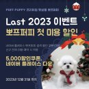 뽀프퍼피 이미지