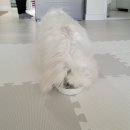 라온메딕스 이미지