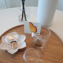 빌라 마르디 이미지