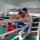 체육관사거리 이미지