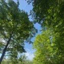 메드웨이 이미지