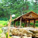 풀잎향기 이미지