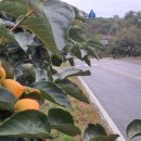 강하우체국 이미지