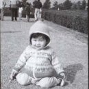 개 최고 이미지