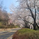 팔달산로 이미지