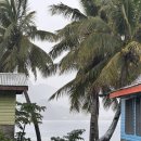 뉴부자관광 | 🇫🇯피지에서 살아남기 2편 와야세와 빌리지