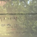 동그라미식당 | 서울역 식당 맛집추천! 집밥같은 동그라미식당 내돈내산 후기