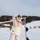 비발디파크