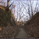 서리풀길 14 이미지