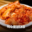 우중불고기 | 가락동 모임 추천 억수로양대창 대창 막창 솔직후기 내돈내산 포함