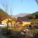 곽골약수펜션 이미지