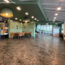 코코애견 이미지