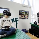 대나무랜드 이미지