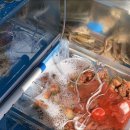 한월횟집 이미지