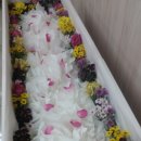 세일장례식장 이미지